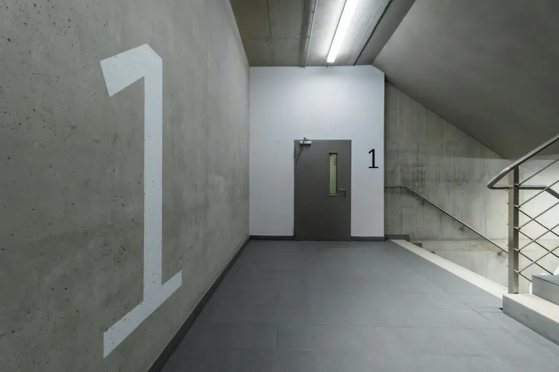 The Power of Powerlessness: How America's Transition Periods Became Democracy's Blind Spot